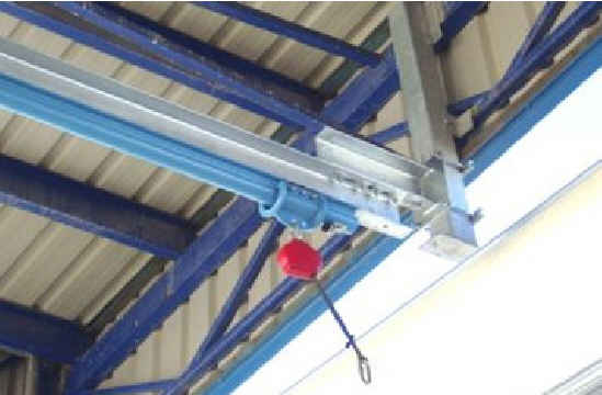 lineavida3.jpg